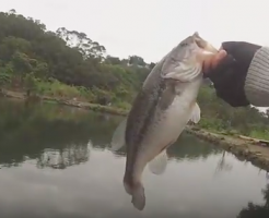 動画あり 台湾にブラックバス釣りに行く 樹梅坑釣魚趣という釣り場へ Mr 釣り三昧の釣りログ