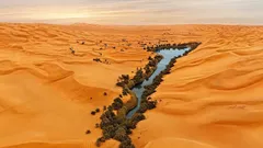 地球上で最も乾燥した砂漠の地下2メートルで、隠された「オアシス」が見つかった