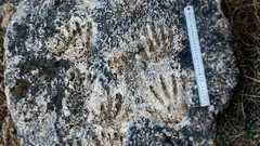 科学者たちが人里離れた場所で手形を発見した――なぜ、誰がそれを残したのか誰も分からないのだろうか？