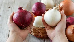あまり知られていない――白玉ねぎと赤玉ねぎの最も重要な違いとは
